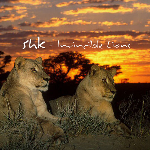 Shk - Invincible Lions