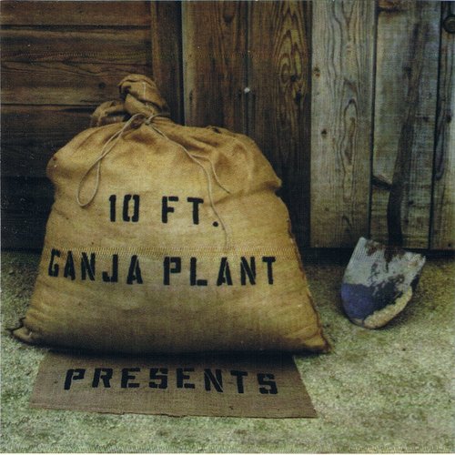 10 Ft. Ganja Plant - Presents